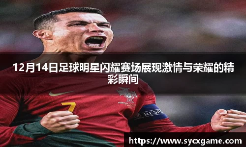 12月14日足球明星闪耀赛场展现激情与荣耀的精彩瞬间